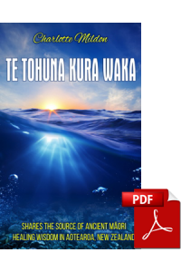 te-tohuna-kura_waka-pdf-cover-375px