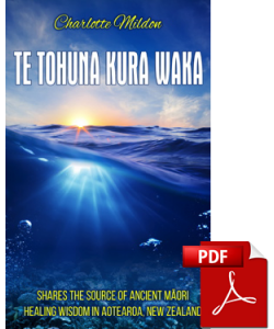 te-tohuna-kura_waka-pdf-cover-375px